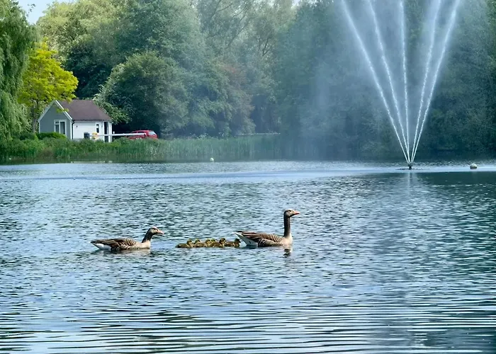 Luxury Kingfisher Lodge, Isis Lake, Within The Cotswold Waterpark