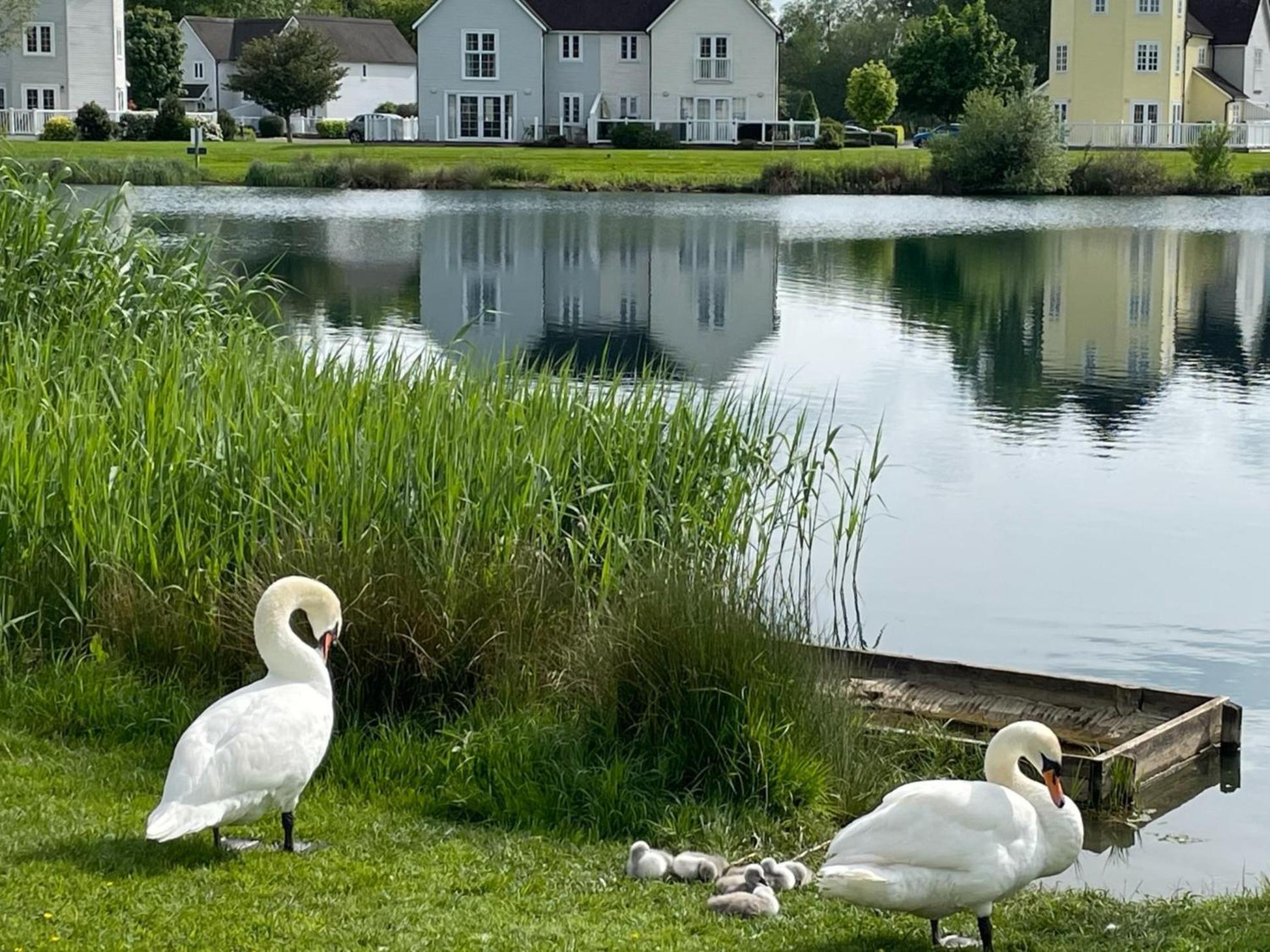 Holiday home Luxury Kingfisher Lodge, Isis Lake, Within The Cotswold Waterpark *