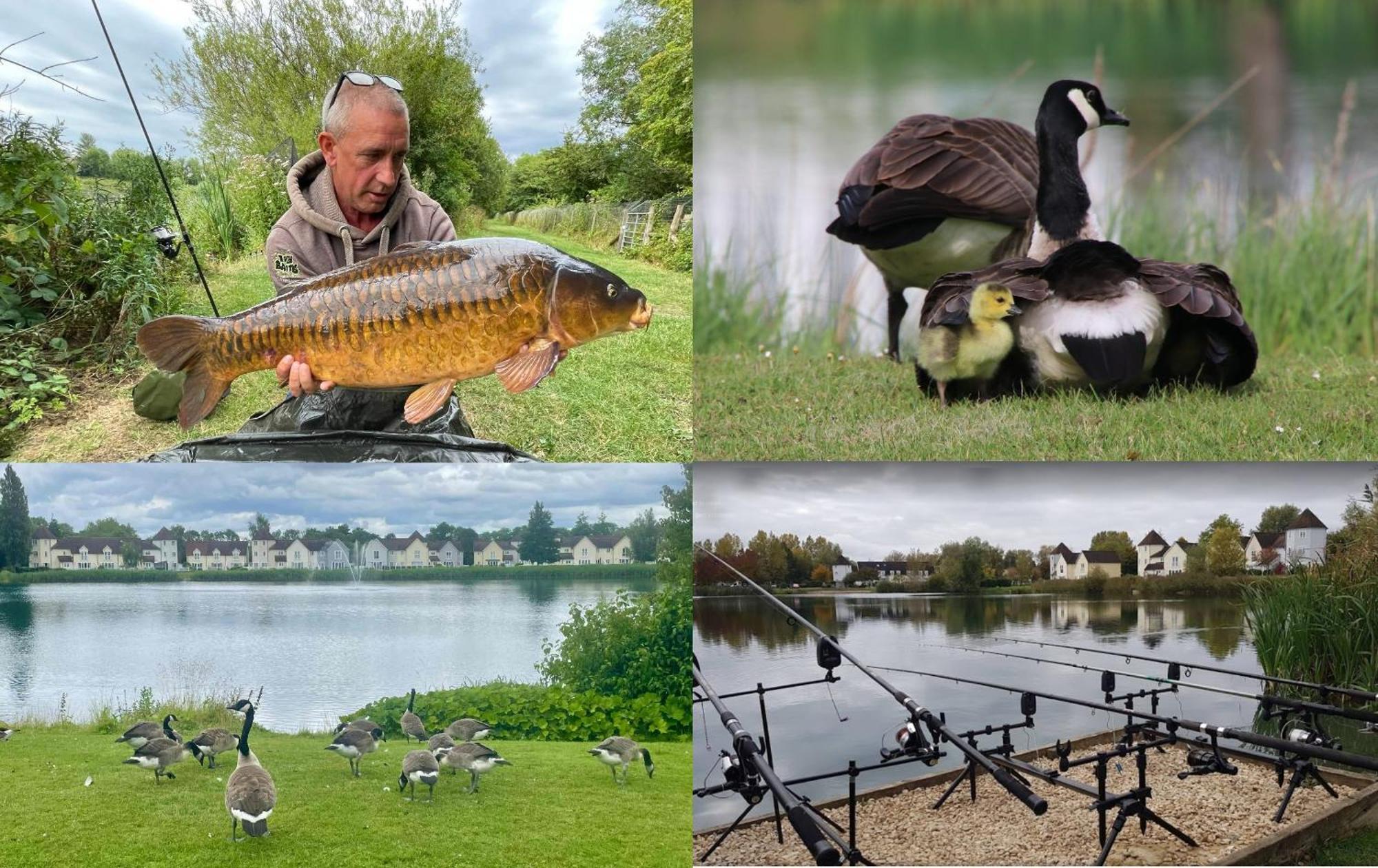 Luxury Kingfisher Lodge, Isis Lake, Within The Cotswold Waterpark Holiday home *